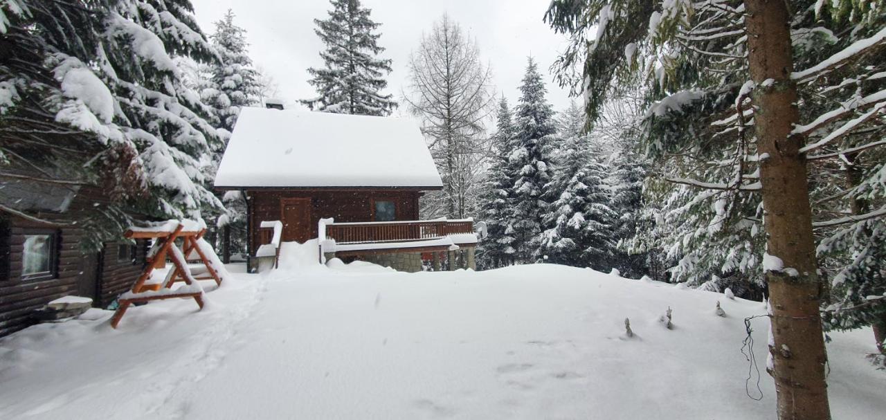 Domki Brenna Lesnica Chatka Ze Spa Exterior photo